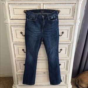 Judy Blue’s Jeans Dark Indigo Straight Leg Women's Jeans